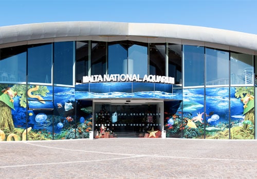 aquarium-koptaco-school-outings-transportation-malta-bus-coaches